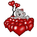 دبدوب محبوب.gif