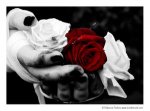 Bleeding_Roses_by_LoveTheVoid.jpg Bleeding_Roses_by_LoveTheVoid.jpg