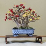 147623 (1).jpg 147623 (1).jpg