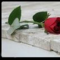 برائهـ أنثى