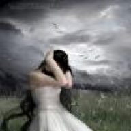 لبوة الحجاز