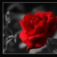 الؤلؤة المكنونة