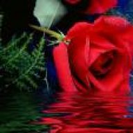 وردةالكووون