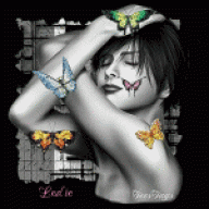 فراشة روعه..