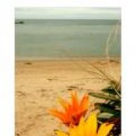 ملاك بهمستي