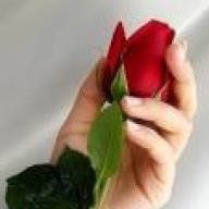 ورده مملوحه