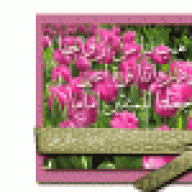 نسايم الرحمة