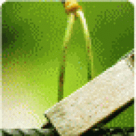 {ملآذ القلوب}