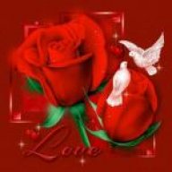 زهرة الاسلام