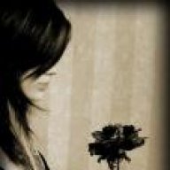 نبض القوافي