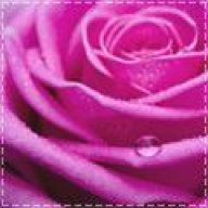 {جُـلّنـــار..~