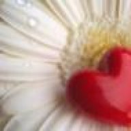 دلع ومشيتي ولع