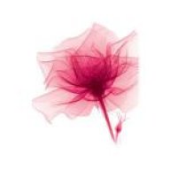 احلي التفاصيل