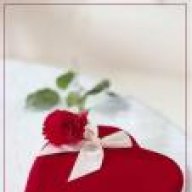 احب علي بجنون