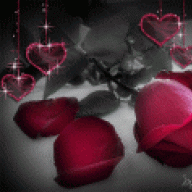 الجركـــــــسيه