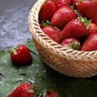 عالم الفراولة