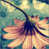 بنـاتي غناتي