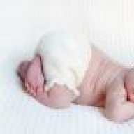 همسـ(أنثى)ـات