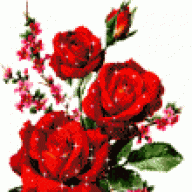 وفاء المشاعر