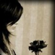 همس الاحاسيس