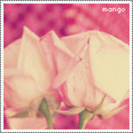 احـآسـيس ورديـہ