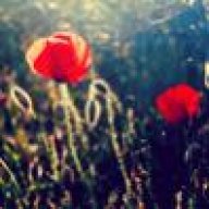 نعناعة حايل