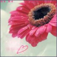 مشاعر مهمله