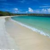 زهور اللوتس