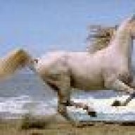 لولتي حبيبي