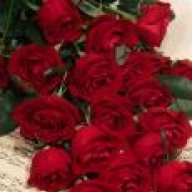 دنيا الفرح***