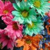 الرموش الخجوله