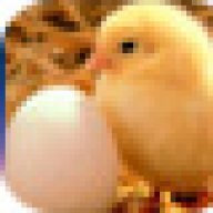 بائعة الوررررد