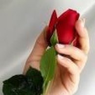 فلونه الحبيبه