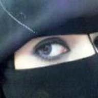 محبة الاسلاام