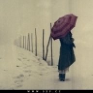 وفاء المحبه