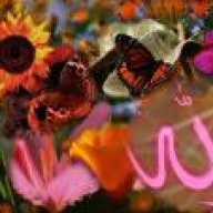 عزيزةفكل حالاتي