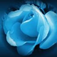 الوردة الزرقاء