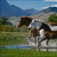 شيخة الغلباء