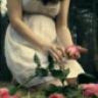 أم ميسوـوـو