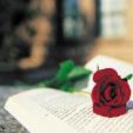 غرور المشاعر