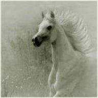 محظوظة ولكن