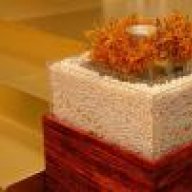 احلام زائفه*