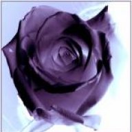 اءيلاف الحب