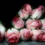 شذى العبير2