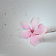 ~ ترآتيل المطر~