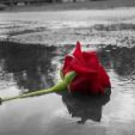 في الجنه راحتي