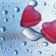 ام الكتاكيت2