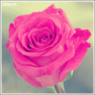 دلعي عاجبني