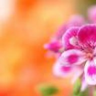 بنت البدائع5