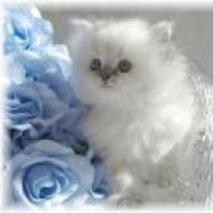 مهاوي الدلع كله